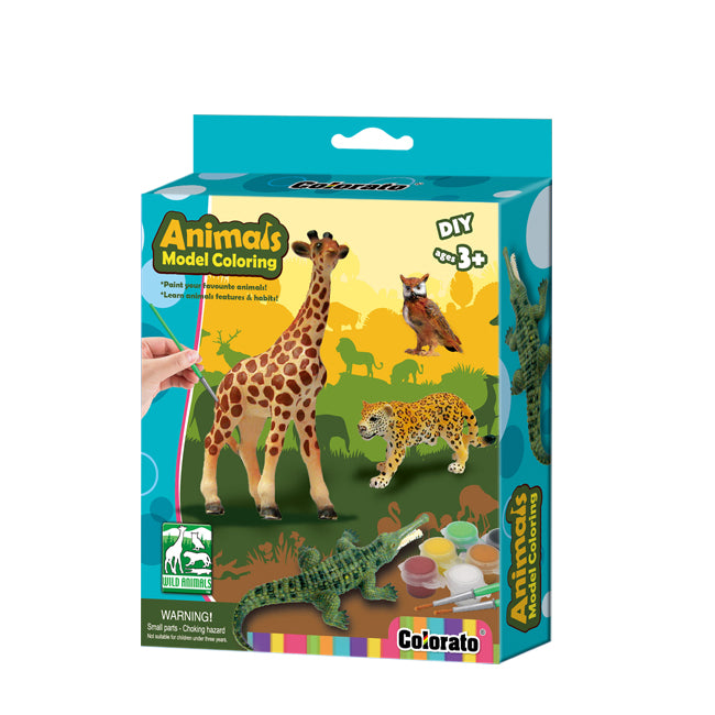 Animals Model Coloring